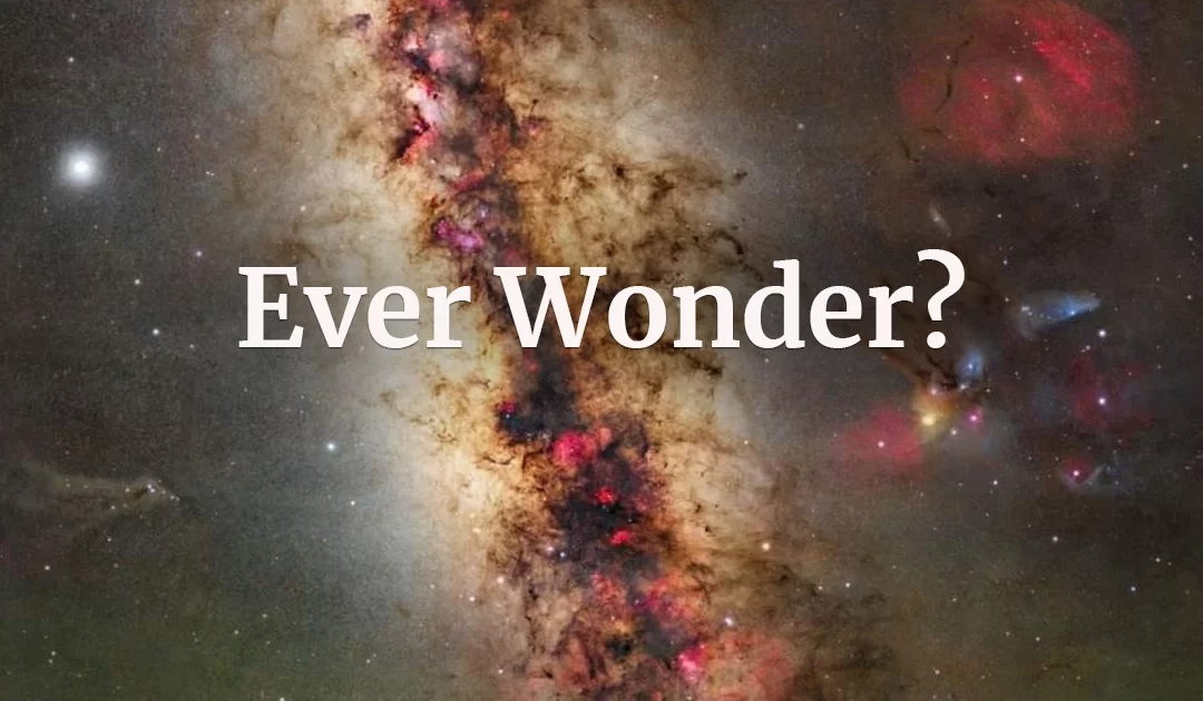 Do You Ever Wonder…?