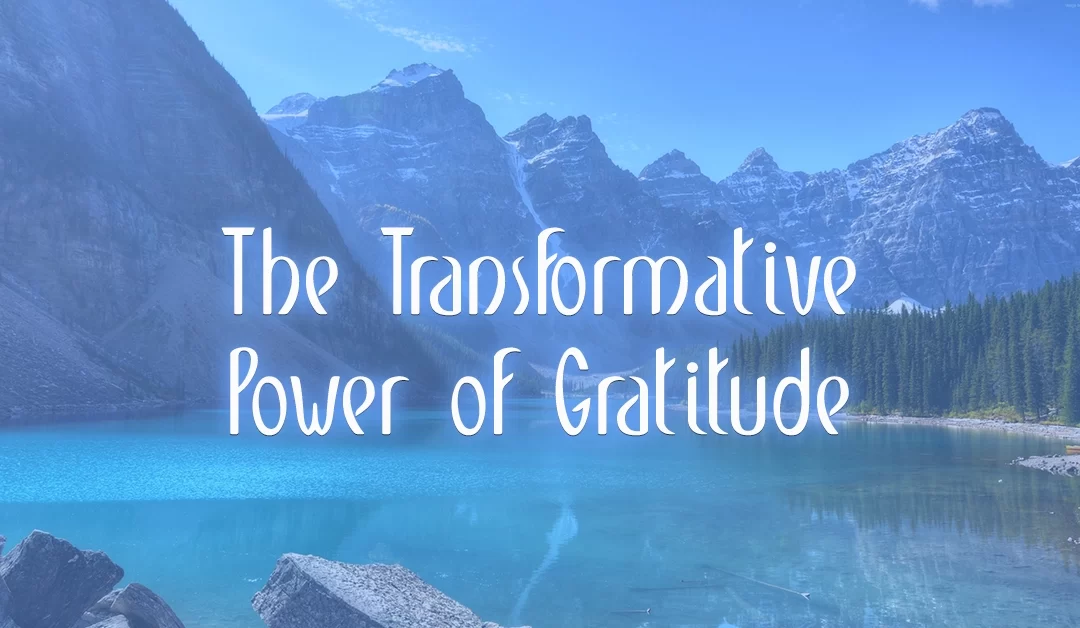The Power of Gratitude and Meditation