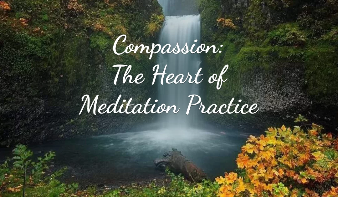 Compassion: The Heart of Meditation Practice