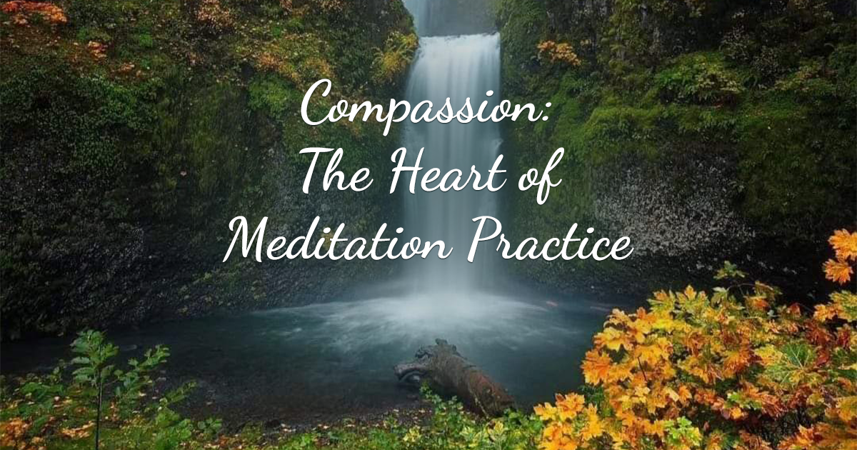 Compassion the Heart of Meditation Practice