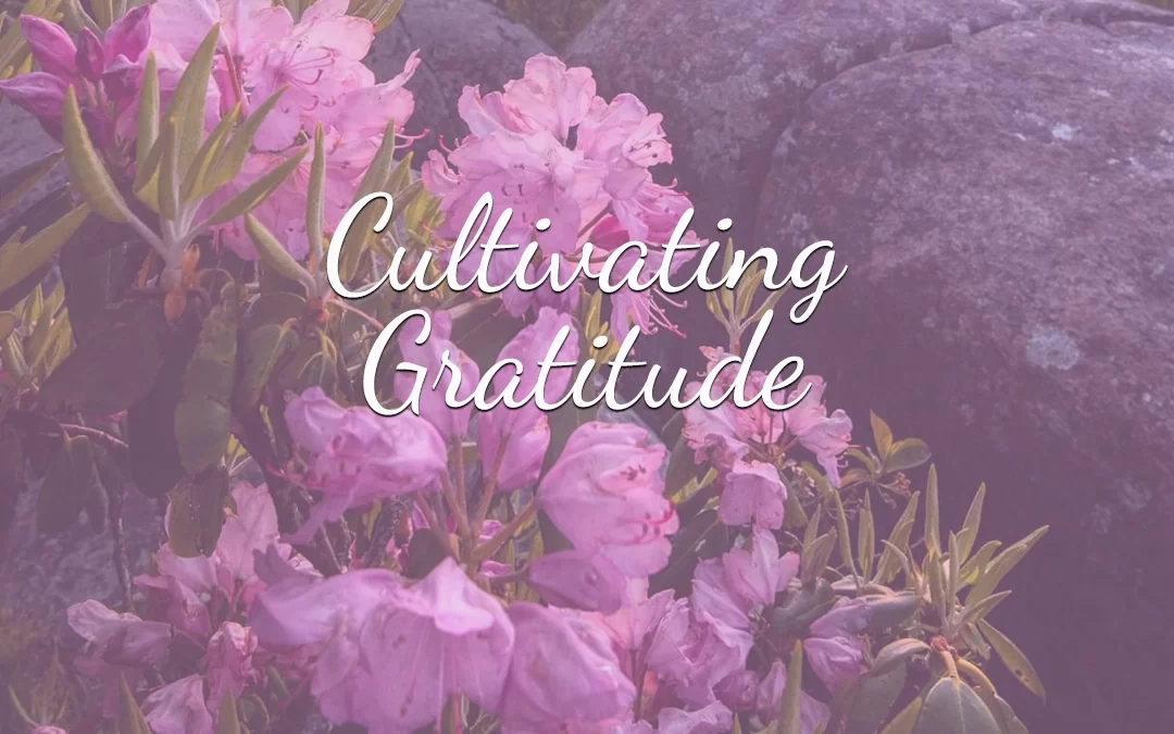 Cultivating Connections with Gratitude Meditation