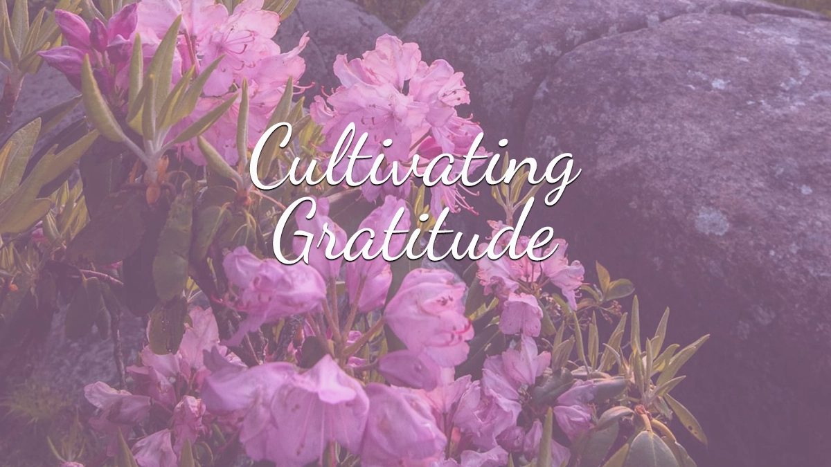 Cultivating Connections with Gratitude Meditation