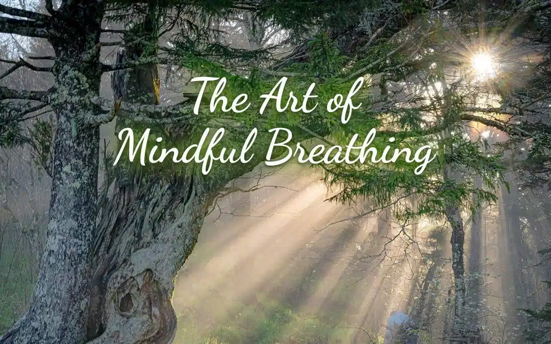 The Art of Mindful Breathing: Tap into the Power of Your Breath
