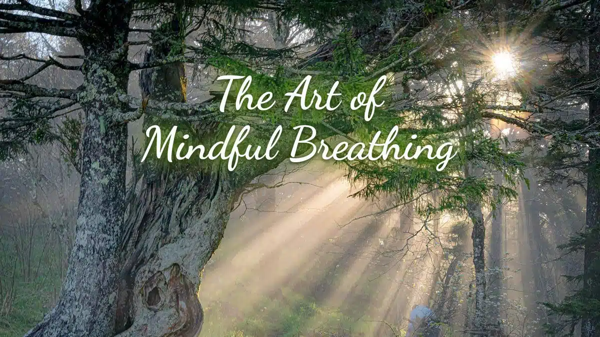 The Art of Mindful Breathing