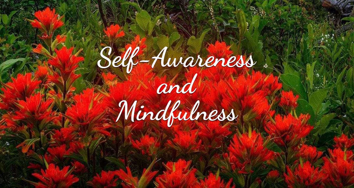 Self-Awareness and Mindfulness: A Meditation Guide